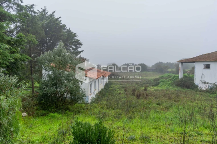 Negócio para Venda em Olaia e Paço Foto 28