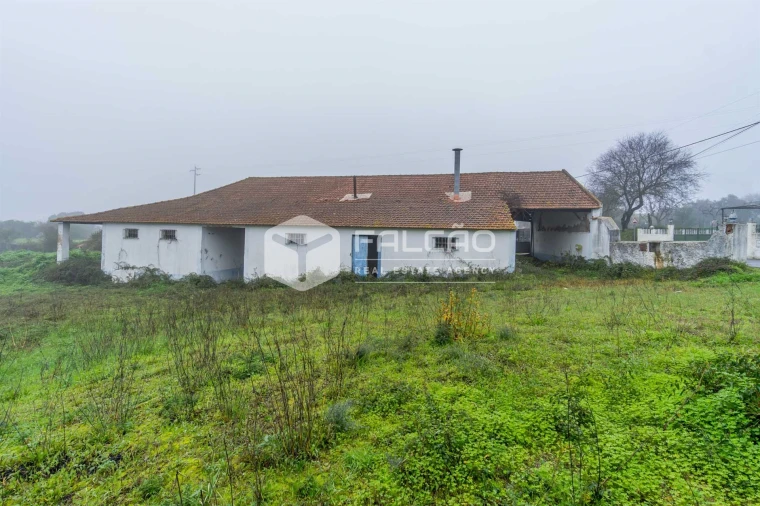 Negócio para Venda em Olaia e Paço Foto 29
