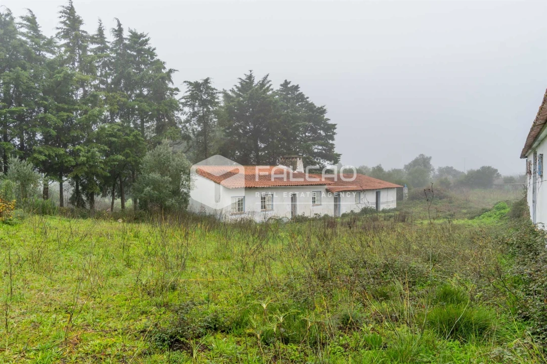 Negócio para Venda em Olaia e Paço Foto 32