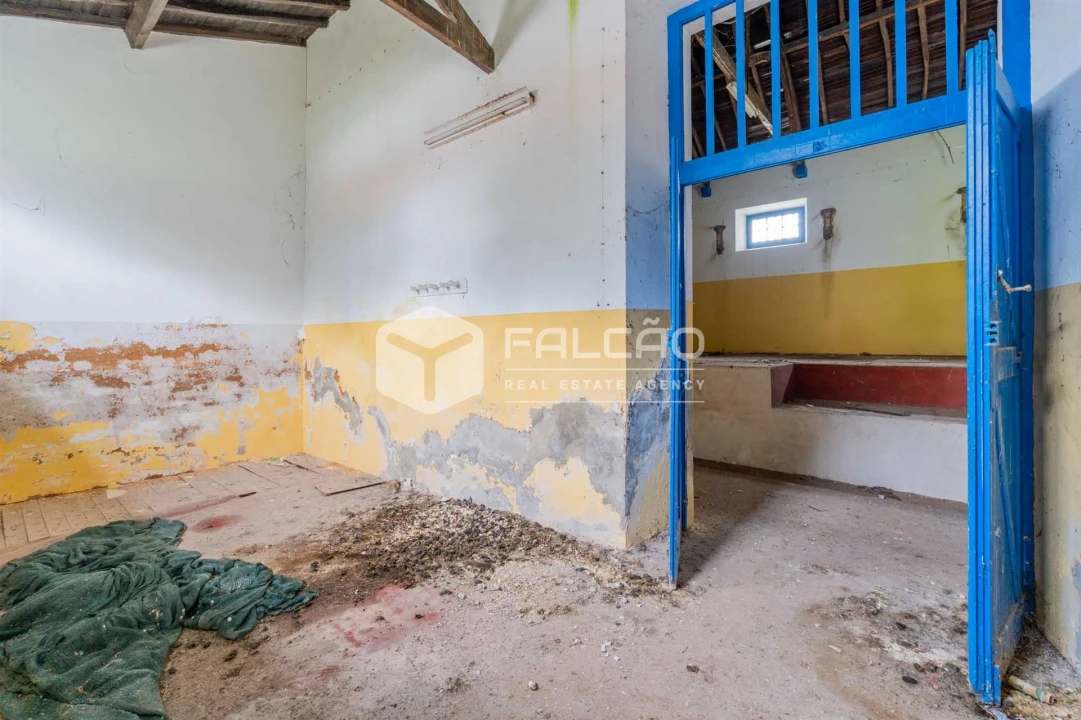 Negócio para Venda em Olaia e Paço Foto 9