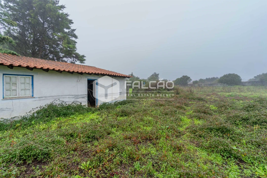 Negócio para Venda em Olaia e Paço Foto 24