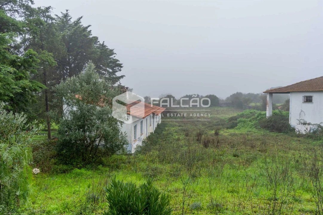 Negócio para Venda em Olaia e Paço Foto 28