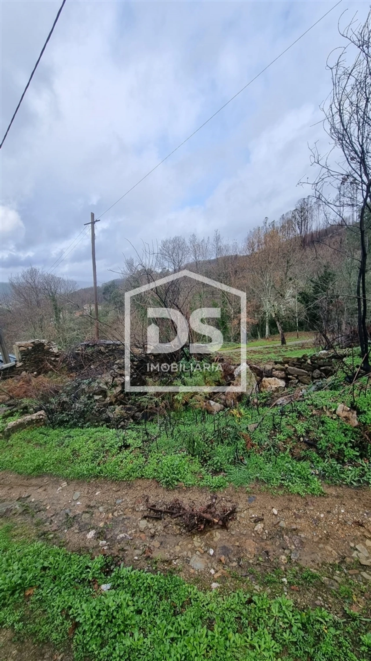 Terreno para Venda em Real Foto 3