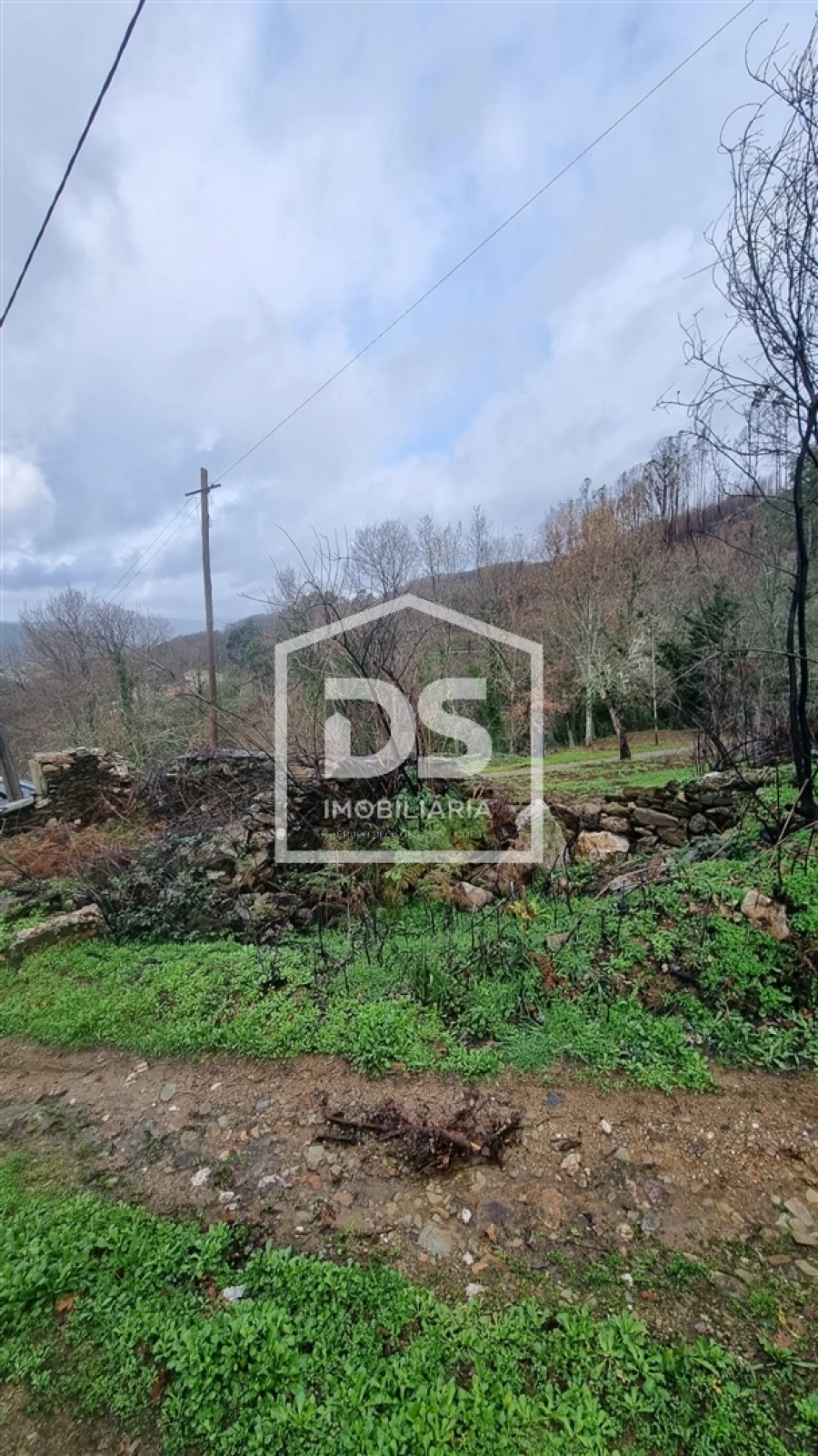 Terreno para Venda em Real Foto 3