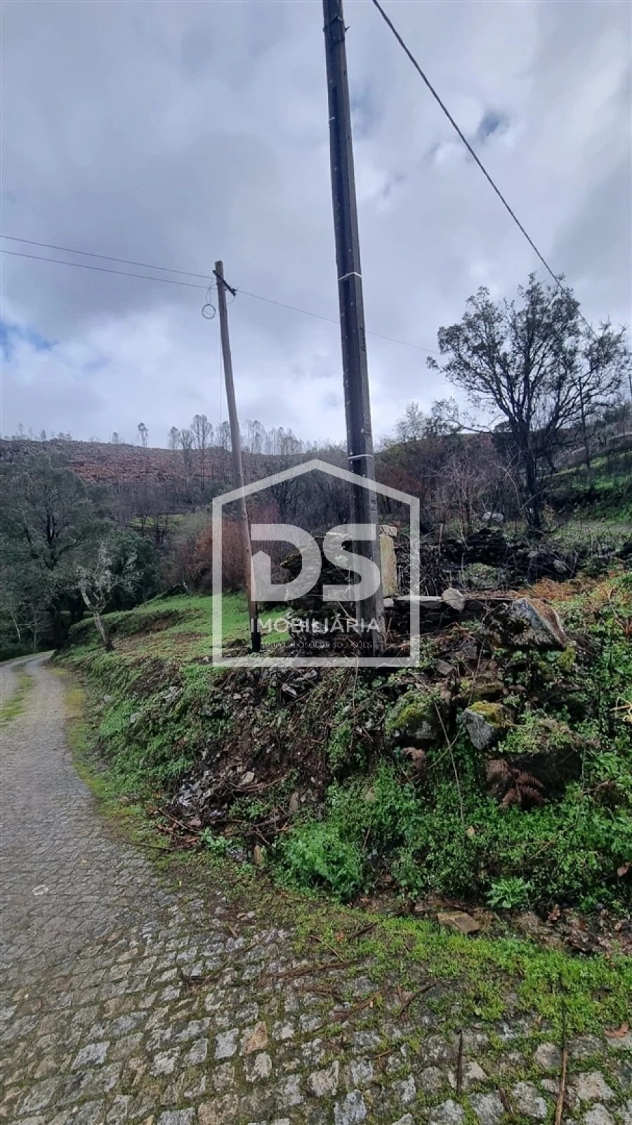 Terreno para Venda em Real Foto 5