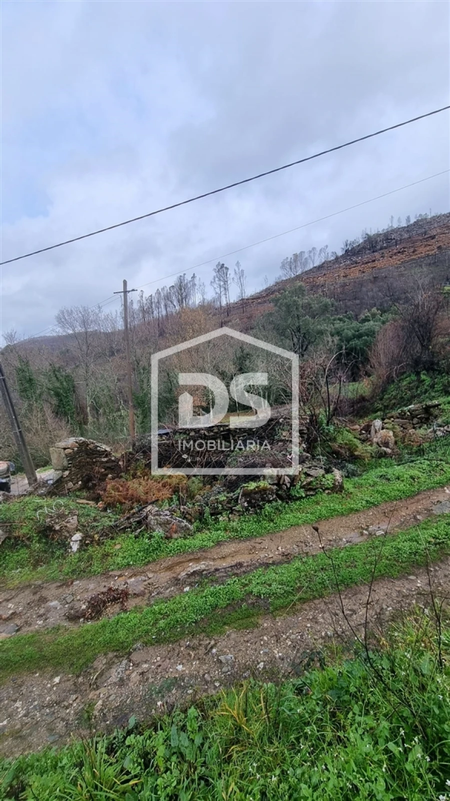 Terreno para Venda em Real Foto 2