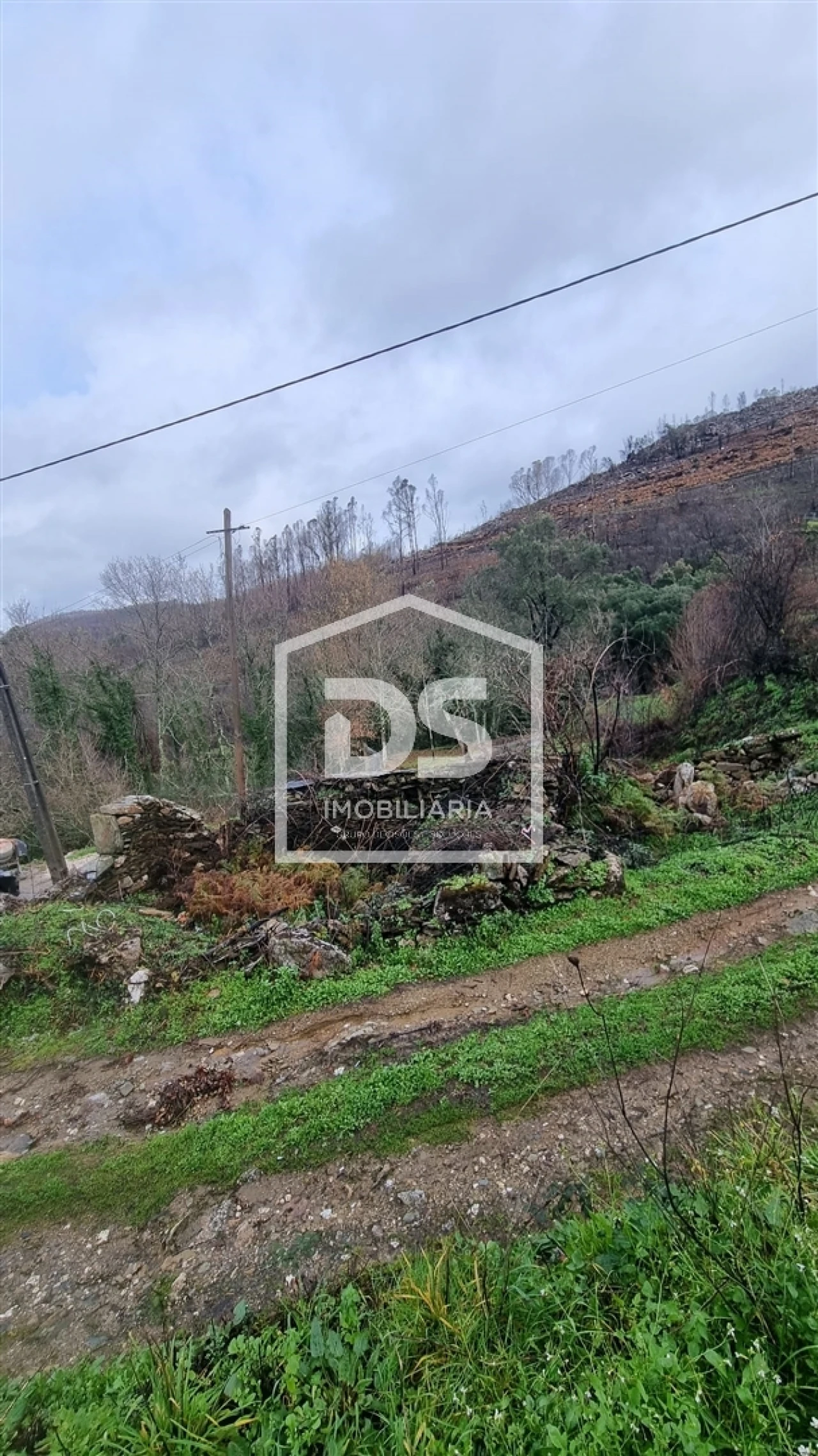 Terreno para Venda em Real Foto 2