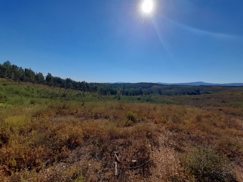Terreno Agricola ou Rústico para Venda em Ninho do Açor e Sobral do Campo Foto 5