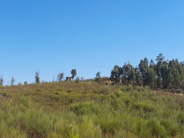 Terreno Agricola ou Rústico para Venda em Ninho do Açor e Sobral do Campo
