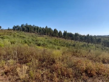 Terreno Agricola ou Rústico para Venda em Ninho do Açor e Sobral do Campo