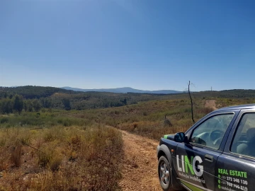 Terreno Agricola ou Rústico para Venda em Ninho do Açor e Sobral do Campo