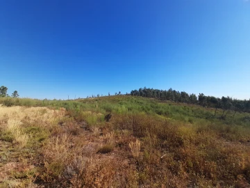 Terreno Agricola ou Rústico para Venda em Ninho do Açor e Sobral do Campo