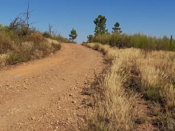 Terreno Agricola ou Rústico para Venda em Ninho do Açor e Sobral do Campo