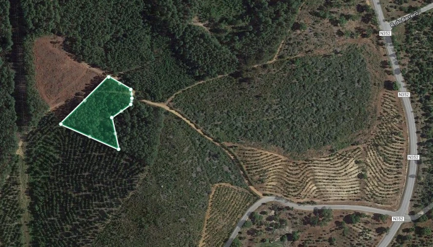 Terreno Agricola ou Rústico para Venda em Ninho do Açor e Sobral do Campo Planta 1