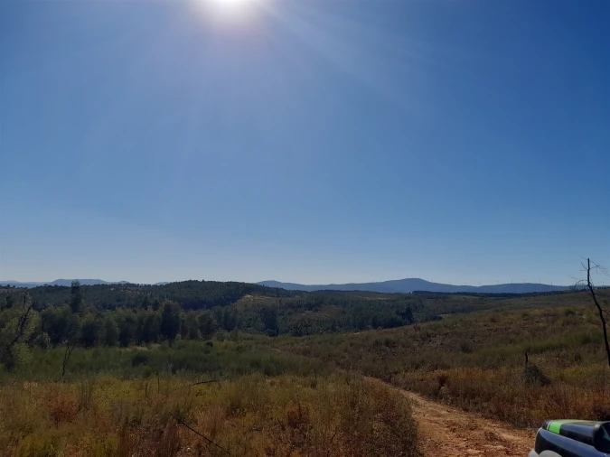 Terreno Agricola ou Rústico para Venda em Ninho do Açor e Sobral do Campo Foto 13