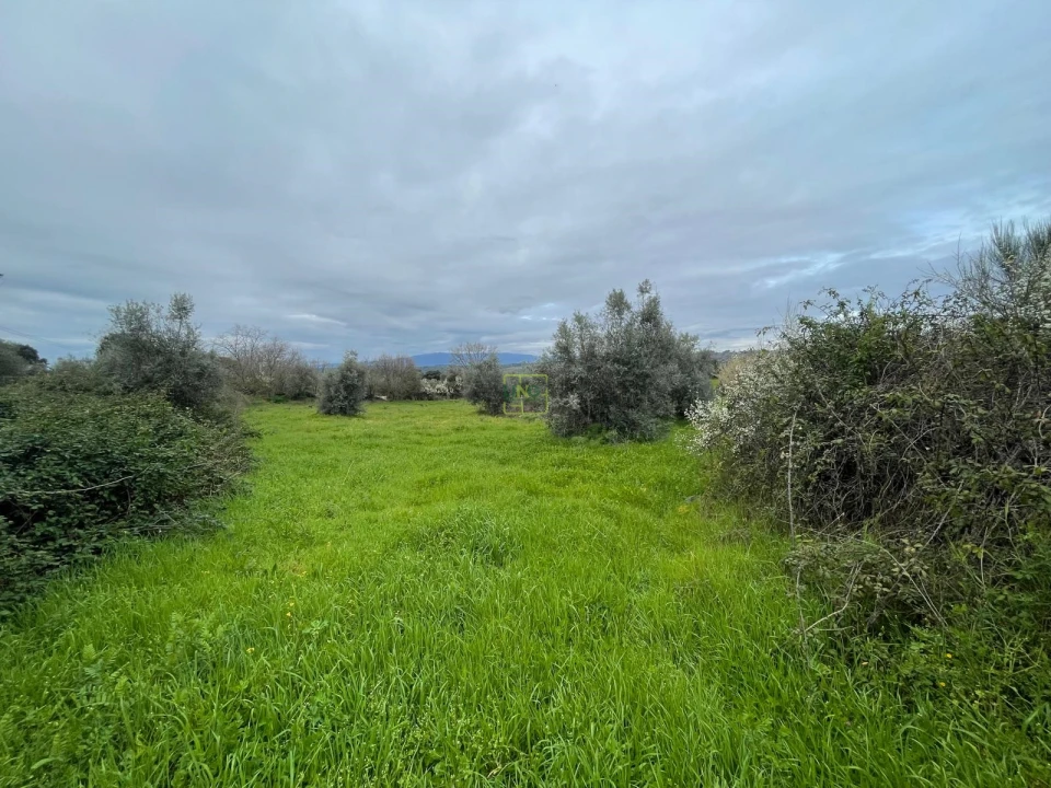 Quinta T0 para Venda em Oledo Foto 22