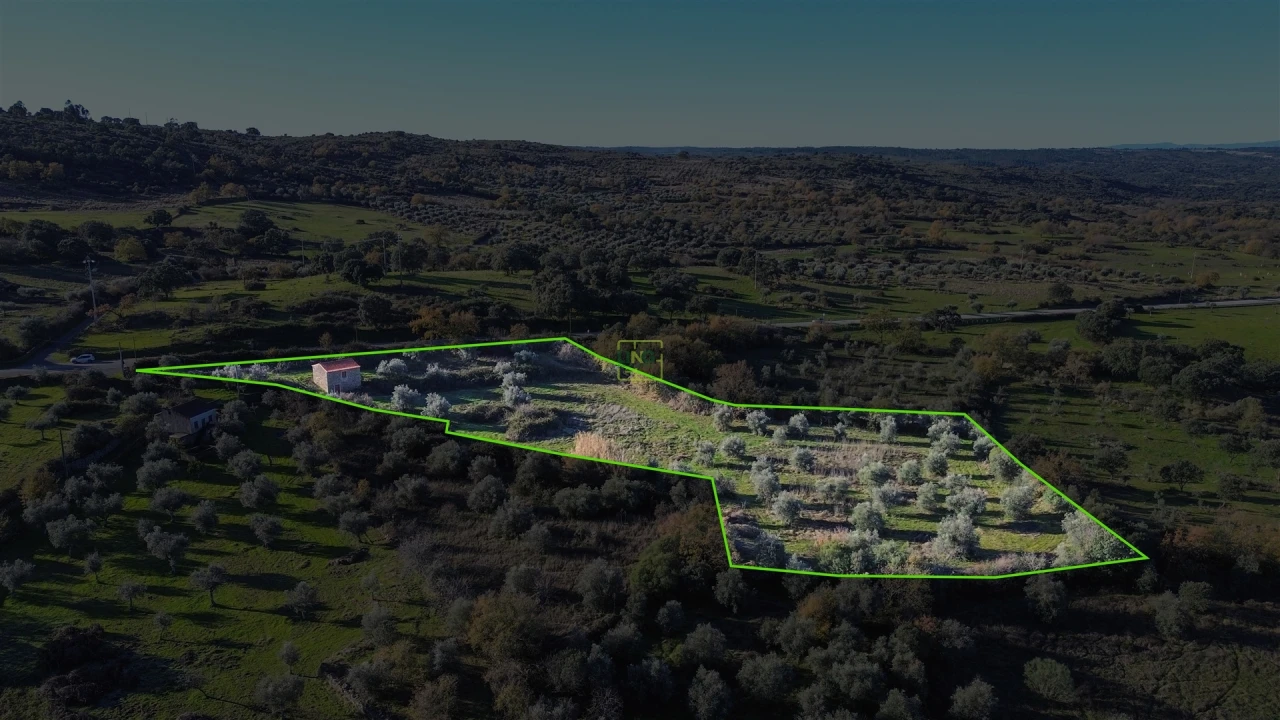 Quinta T0 para Venda em Oledo Foto 65