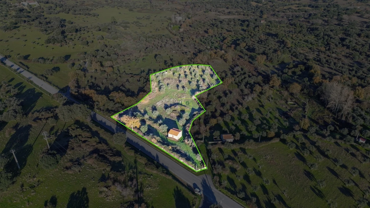 Quinta T0 para Venda em Oledo Foto 44