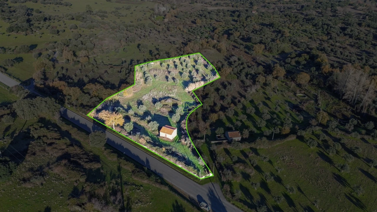 Quinta T0 para Venda em Oledo Foto 46