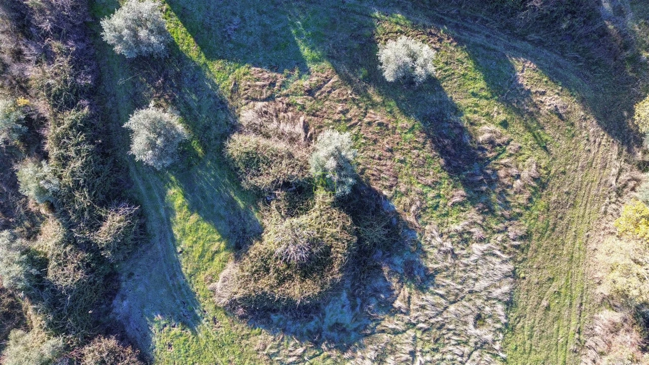 Quinta T0 para Venda em Oledo Foto 61