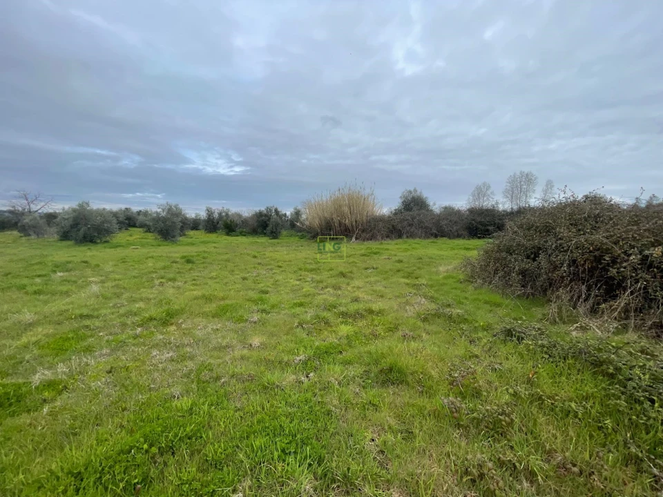 Quinta T0 para Venda em Oledo Foto 17