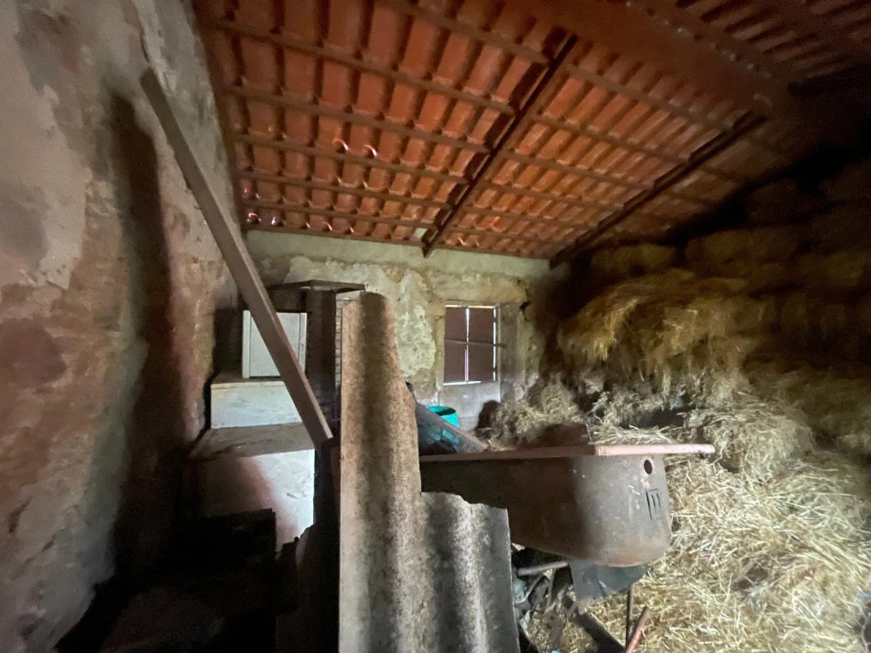 Quinta T0 para Venda em Oledo Foto 37