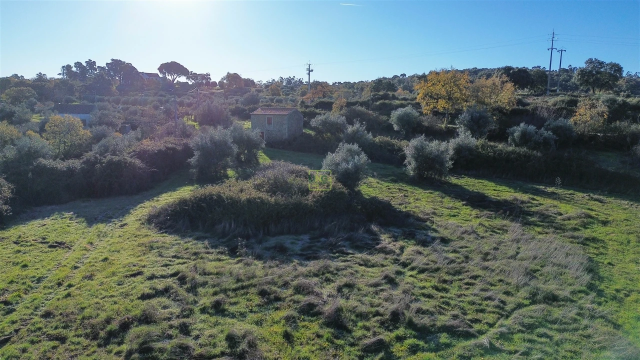 Quinta T0 para Venda em Oledo Foto 53