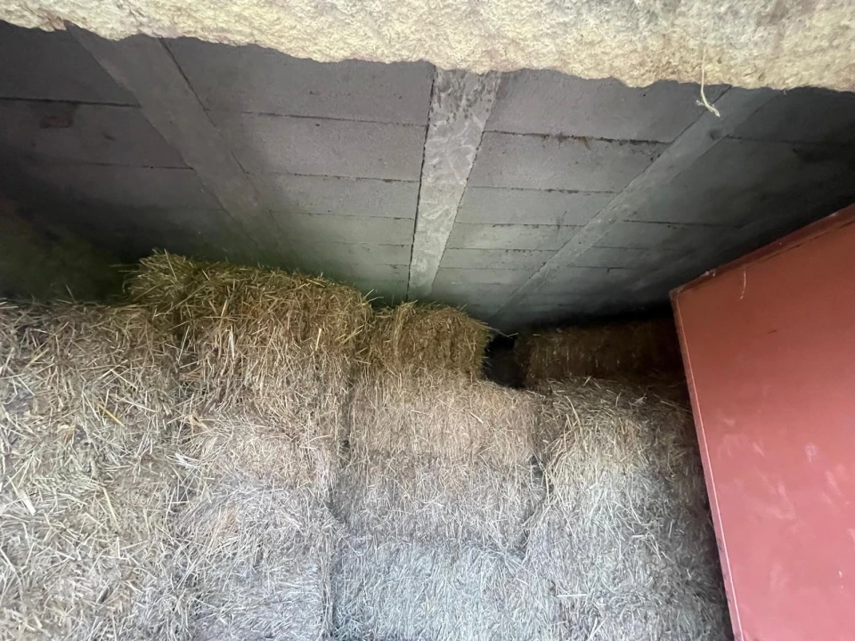 Quinta T0 para Venda em Oledo Foto 35