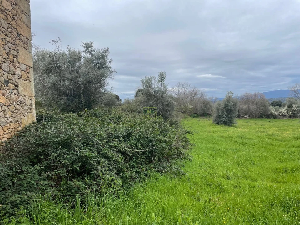 Quinta T0 para Venda em Oledo Foto 20