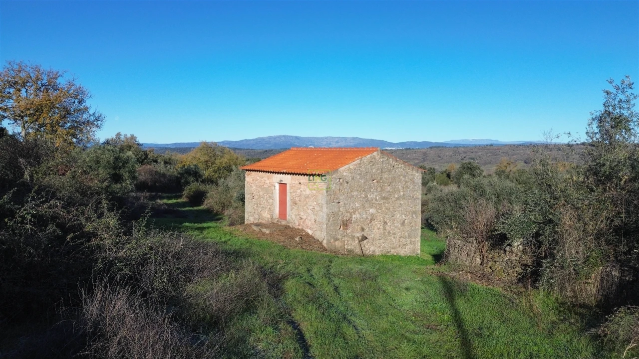 Quinta T0 para Venda em Oledo Foto 3