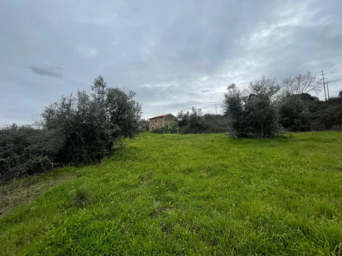 Quinta T0 para Venda em Oledo Foto 11