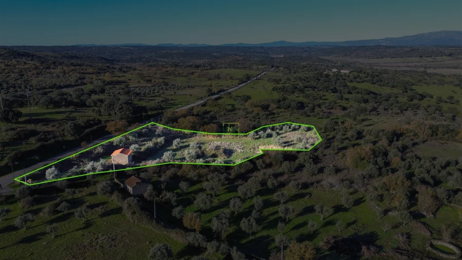 Quinta T0 para Venda em Oledo Foto 67