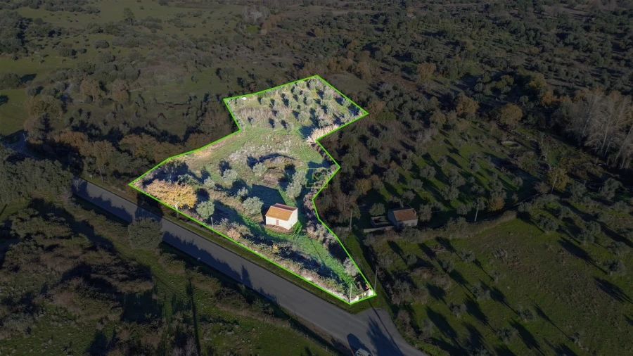 Quinta T0 para Venda em Oledo Foto 48