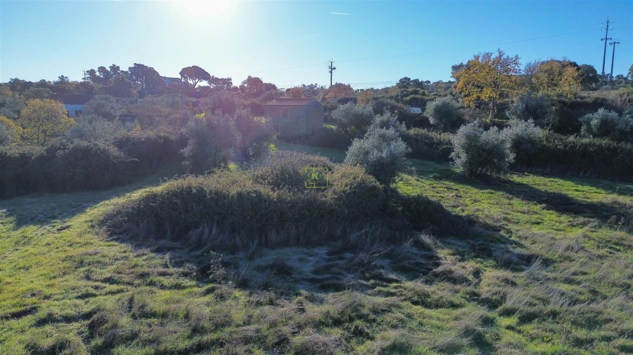 Quinta T0 para Venda em Oledo Foto 55