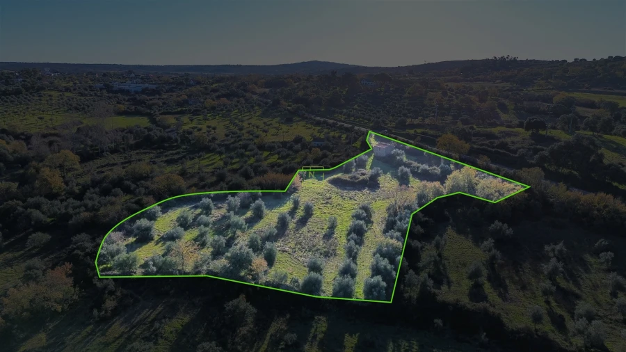 Quinta T0 para Venda em Oledo Foto 50