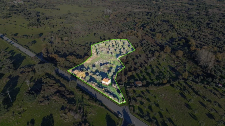 Quinta T0 para Venda em Oledo Foto 44