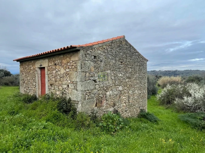 Quinta T0 para Venda em Oledo Foto 6