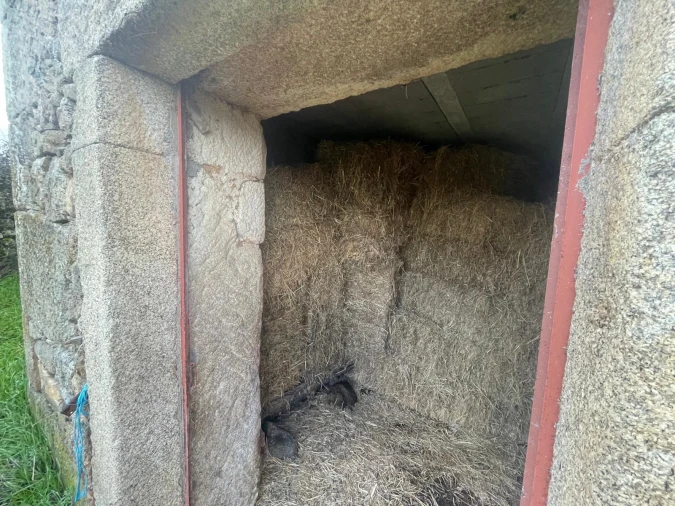 Quinta T0 para Venda em Oledo Foto 33