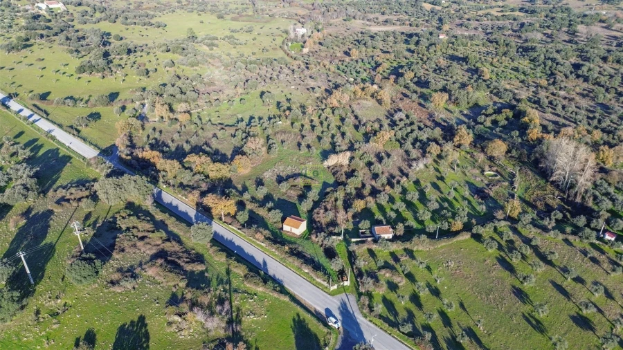 Quinta T0 para Venda em Oledo Foto 43