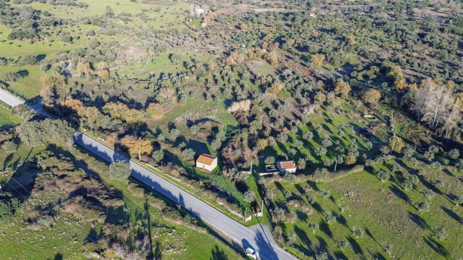 Quinta T0 para Venda em Oledo Foto 45