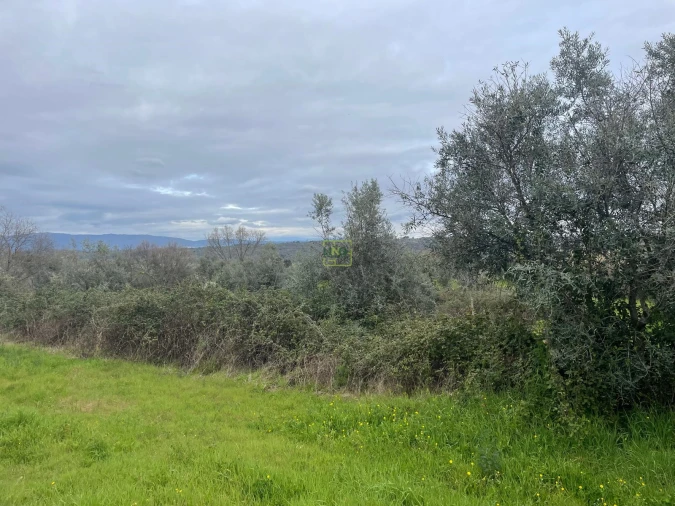 Quinta T0 para Venda em Oledo Foto 24