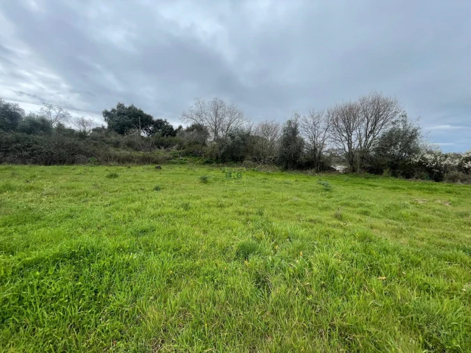 Quinta T0 para Venda em Oledo Foto 14