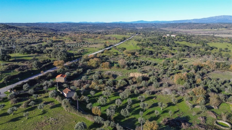 Quinta T0 para Venda em Oledo Foto 66