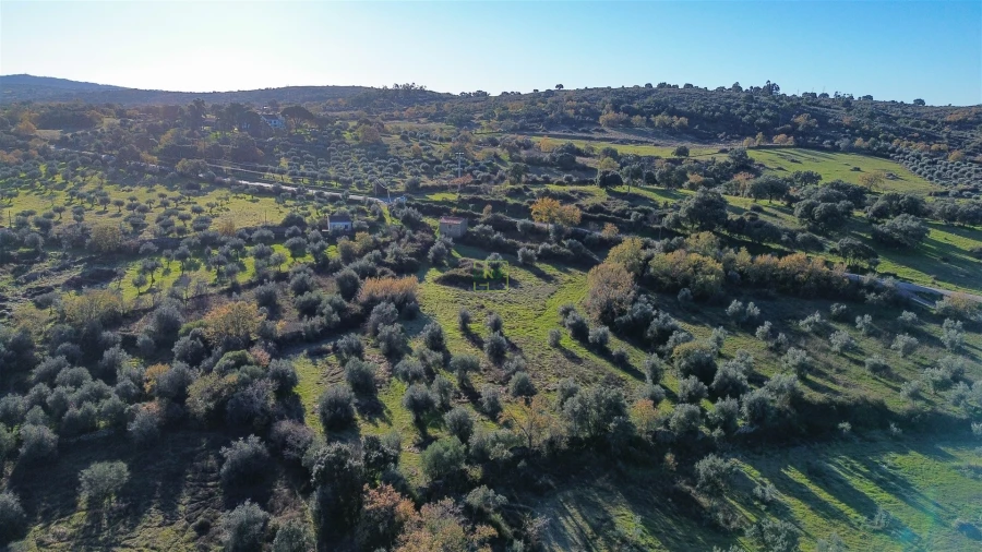 Quinta T0 para Venda em Oledo Foto 51