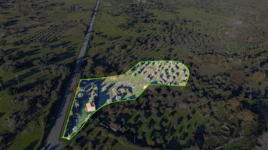 Quinta T0 para Venda em Oledo Foto 42