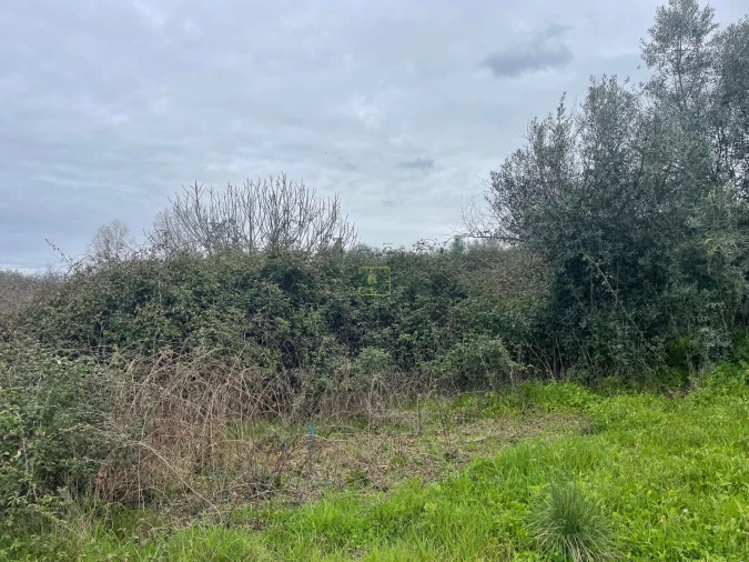 Quinta T0 para Venda em Oledo Foto 9