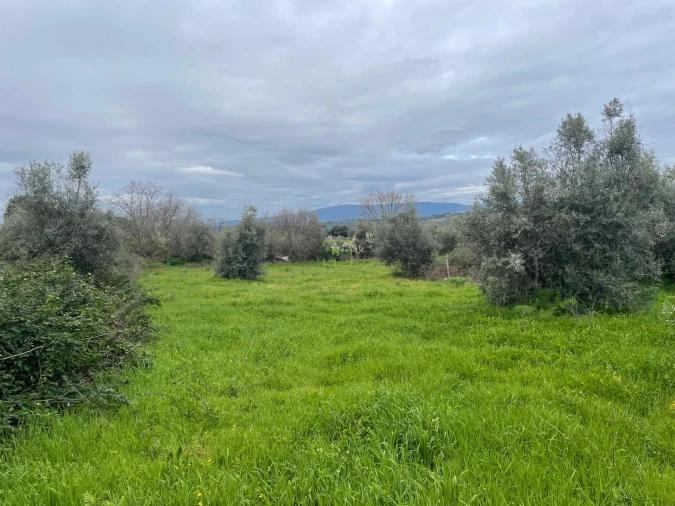 Quinta T0 para Venda em Oledo Foto 21