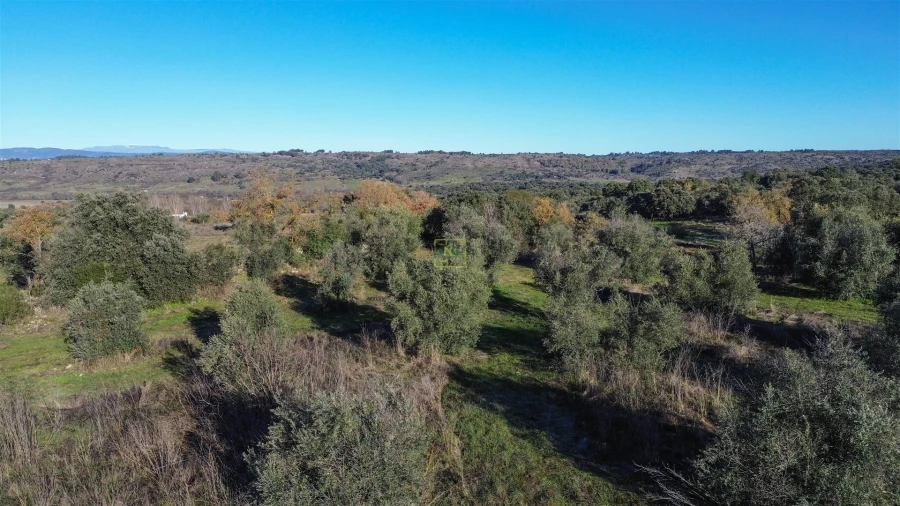 Quinta T0 para Venda em Oledo Foto 54