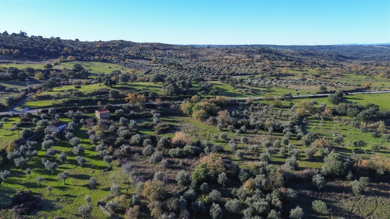 Quinta T0 para Venda em Oledo Foto 64