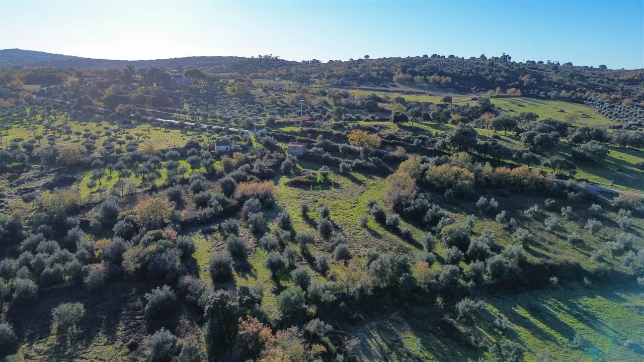 Quinta T0 para Venda em Oledo Foto 51